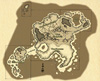 worldmap.jpg